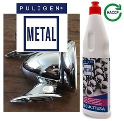 Puligen Metallist metalli- ja klaaskeraamika poleerseade, 500 ml hind ja info | Puhastusvahendid | kaup24.ee