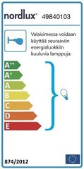 Потолочный светильник Nordlux Alfred 2 цена и информация | Потолочные светильники | kaup24.ee