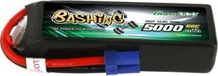 Gens Ace aku LiPo Bashing EC5 5000mAh 14,8V 4S1P 60C hind ja info | Akud | kaup24.ee