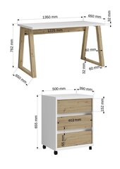 Письменный стол Biurko Iwo I, белый цвет цена и информация | Компьютерные, письменные столы | kaup24.ee
