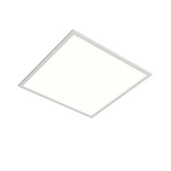Hele LED-paneel Vinas, 62 cm цена и информация | Монтируемые светильники, светодиодные панели | kaup24.ee