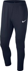 Poiste püksid Nike Dry Park 18 Pant KPZ, AA2087 451 цена и информация | Шорты для мальчиков | kaup24.ee