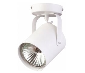 Светильник Sigma Flesz цена и информация | Потолочные светильники | kaup24.ee