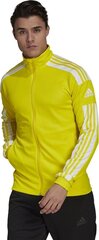 Meeste spordi dressipluus Adidas Squadra 21 GP6465, kollane hind ja info | Meeste spordiriided | kaup24.ee