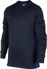 Джемпер для мальчиков Nike Therma Academy Junior, AO9186-451 цена и информация | Свитеры, жилетки, пиджаки для мальчиков | kaup24.ee