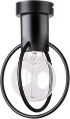 Потолочный светильник AURA 31091 цена и информация | Потолочные светильники | kaup24.ee