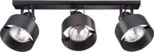 Потолочный светильник Rif 31197 цена и информация | Потолочные светильники | kaup24.ee