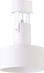 Потолочный светильник RIF 31201 цена и информация | Потолочные светильники | kaup24.ee