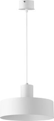 Подвесной светильник RIF 30902 цена и информация | Потолочный светильник, 38 x 38 x 24 см | kaup24.ee