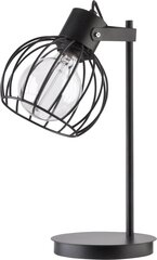 Настольная лампа LUTO 50086 цена и информация | Настольные лампы | kaup24.ee