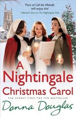 Nightingale Christmas Carol: (Nightingales 8) цена и информация | Фантастика, фэнтези | kaup24.ee