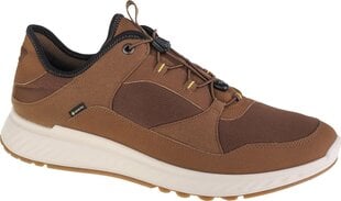 Мужские кроссовки Ecco, коричневые цена и информация | Кроссовки для мужчин | kaup24.ee