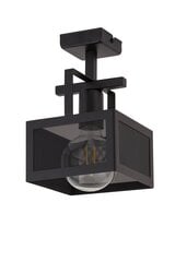 Потолочный светильник ALBERT 32178 цена и информация | Потолочные светильники | kaup24.ee