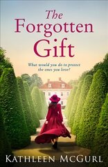 Forgotten Gift цена и информация | Фантастика, фэнтези | kaup24.ee