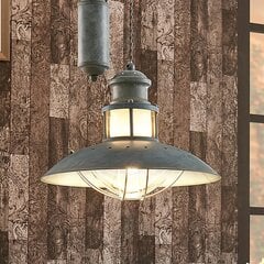 Louisanne - бетонно-серый подвесной светильник с подвеской Jojo цена и информация | Люстры | kaup24.ee