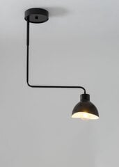 Потолочный светильник HOLI 32445 цена и информация | Люстры | kaup24.ee