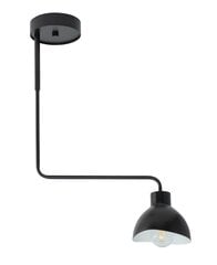 Потолочный светильник HOLI 32445 цена и информация | Люстры | kaup24.ee