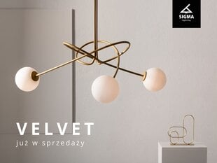 Laevalgusti VELVET 33356 цена и информация | Потолочные светильники | kaup24.ee