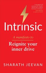 Intrinsic: A manifesto to reignite your inner drive цена и информация | Самоучители | kaup24.ee