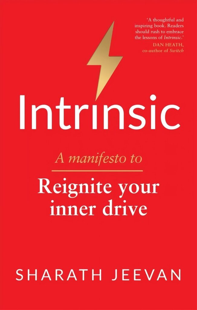 Intrinsic: A manifesto to reignite your inner drive hind ja info | Eneseabiraamatud | kaup24.ee