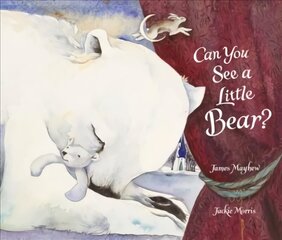 Can You See a Little Bear? цена и информация | Книги для малышей | kaup24.ee