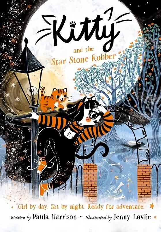 Kitty and the Star Stone Robber 1 цена и информация | Noortekirjandus | kaup24.ee