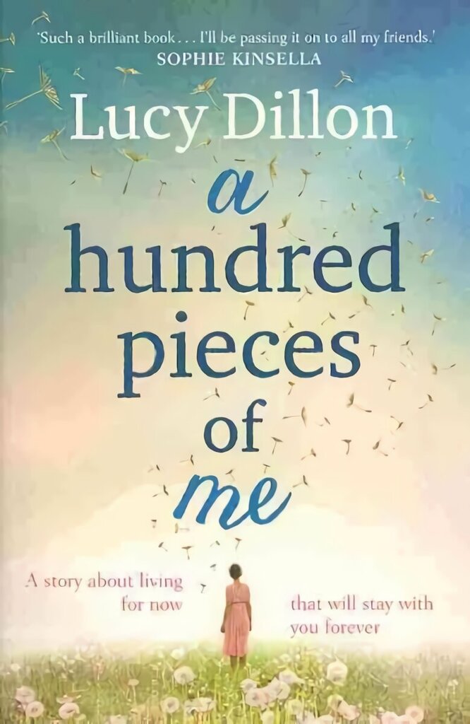 Hundred Pieces of Me: A gorgeous and uplifting summer read цена и информация | Fantaasia, müstika | kaup24.ee