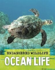 Endangered Wildlife: Rescuing Ocean Life цена и информация | Книги для подростков и молодежи | kaup24.ee