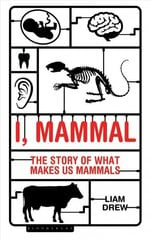 I, Mammal: The Story of What Makes Us Mammals цена и информация | Книги по экономике | kaup24.ee