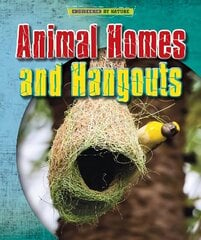 Animal Homes and Hang-outs hind ja info | Noortekirjandus | kaup24.ee