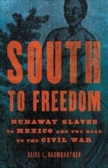 South to Freedom: Runaway Slaves to Mexico and the Road to the Civil War hind ja info | Ajalooraamatud | kaup24.ee