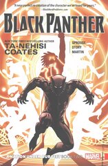 Black Panther: A Nation Under Our Feet Book 2 цена и информация | Фантастика, фэнтези | kaup24.ee