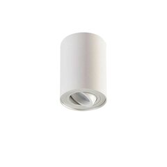 Накладной потолочный светильник Jolina, белый цена и информация | Потолочные светильники | kaup24.ee