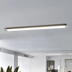 Vinca - LED laevalgusti, 120 cm цена и информация | Потолочные светильники | kaup24.ee