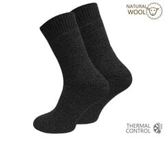 Толстые зимние мужские носки с шерстью NORWEGER 2093, 2 пары цена и информация | Meeste sokid | kaup24.ee