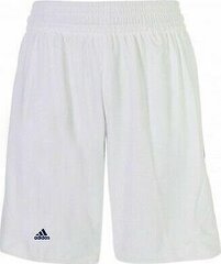 Meeste lühikesed püksid Adidas, valge hind ja info | Meeste lühikesed püksid | kaup24.ee