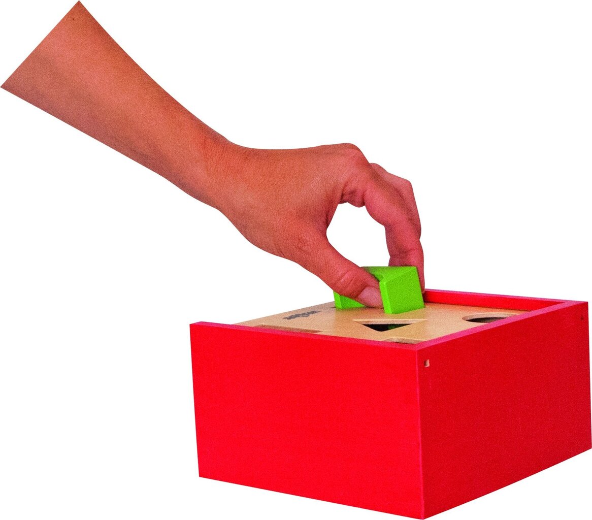 Woody 90001 Eco Wooden Educational color shape sorting box constructor (20pcs) for kids 2y+ (16x16cm) цена и информация | Imikute mänguasjad | kaup24.ee