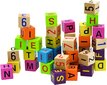 Woody 90644 Eco Wooden Educational värvilised ehitusklotsid tähestiku ja numbritega (40tk) lastele vanuses 3a+ (1tk 3,5x3,5x3,5x3,5cm) цена и информация | Imikute mänguasjad | kaup24.ee