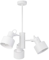 Потолочный светильник METRO 31579 цена и информация | Люстры | kaup24.ee