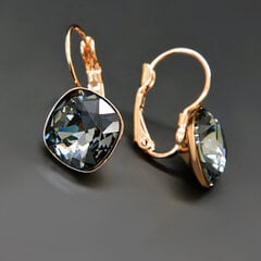 Naiste kõrvarõngad DiamondSky Glare IV Silver Night koos Swarovski kristallidega hind ja info | Kõrvarõngad | kaup24.ee