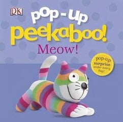 Pop-Up Peekaboo! Kitten hind ja info | Väikelaste raamatud | kaup24.ee
