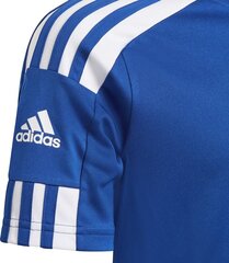 Футболка Adidas Squadra 21, синяя цена и информация | Футбольная форма и другие товары | kaup24.ee