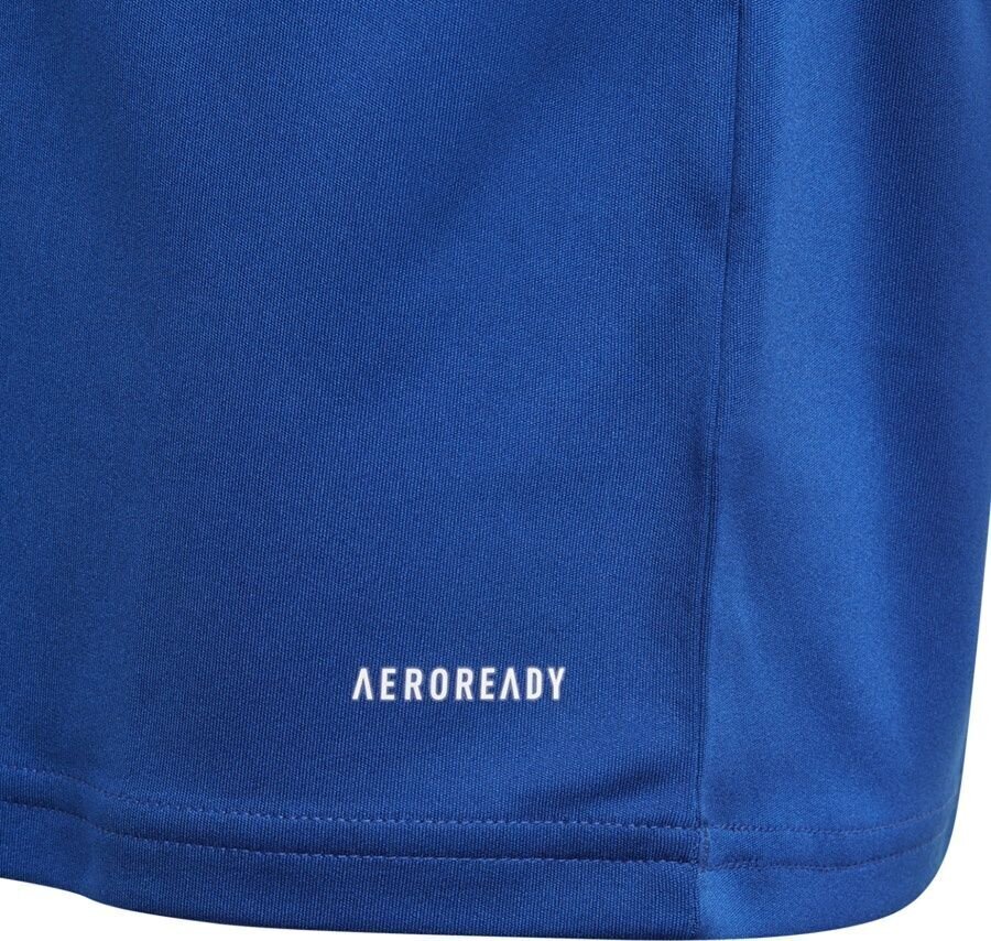T-särk Adidas Squadra 21, sinine hind ja info | Jalgpalli varustus ja riided | kaup24.ee