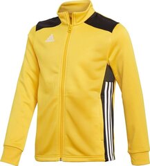 Dressipluus Adidas Regista 18 PES Jr CZ8630, kollane цена и информация | Футбольная форма и другие товары | kaup24.ee