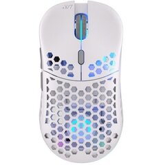 Endorfy LIX Plus Onyx White Wireless цена и информация | Мыши | kaup24.ee