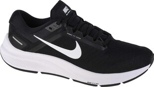 Спортивные ботинки для мужчин Nike цена и информация | Кроссовки для мужчин | kaup24.ee