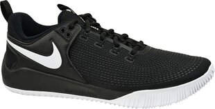 Спортивные ботинки для мужчин Nike цена и информация | Кроссовки для мужчин | kaup24.ee