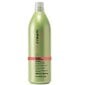 Šampoon Inebrya Ice Cream Energy Shampoo, 1000 ml hind ja info | Šampoonid | kaup24.ee