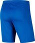 Nike Park III Knit Jr lühikesed püksid poistele, sinine hind ja info | Poiste lühikesed püksid | kaup24.ee