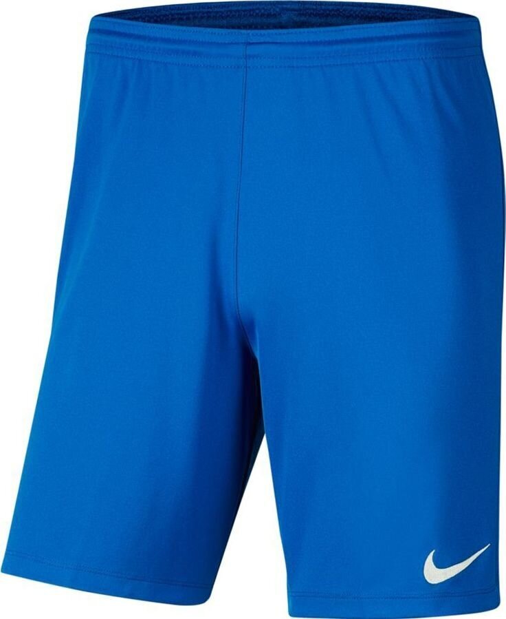 Nike Park III Knit Jr lühikesed püksid poistele, sinine цена и информация | Poiste lühikesed püksid | kaup24.ee
